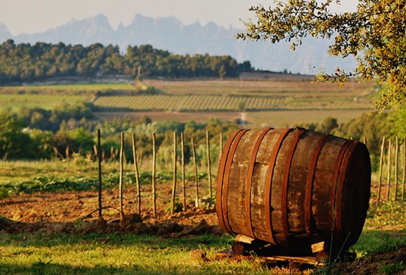 Gourmetreise Priorat und Penedés: die großen Weinregionen Kataloniens