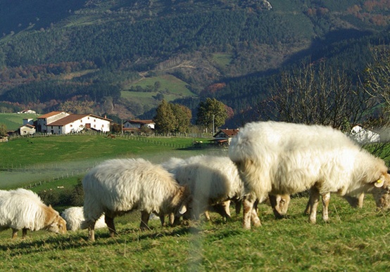 Luxuriös Genusswandern im Baskenland