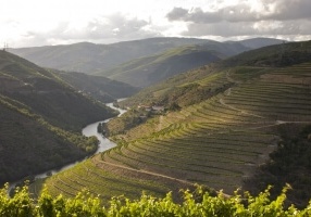 Portugal: Genusswandern durch die Douro Weinregion