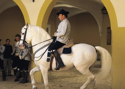 Tag 3 l Dienstag l Jerez de la Frontera und Ronda